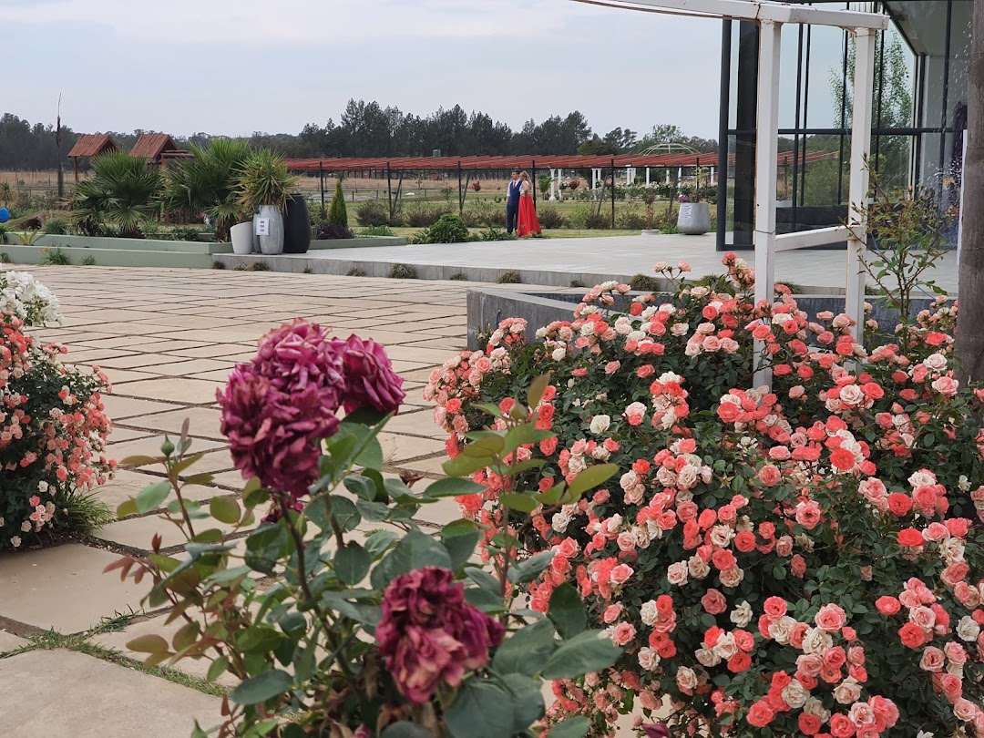 Rose garden and glass hall at the estate