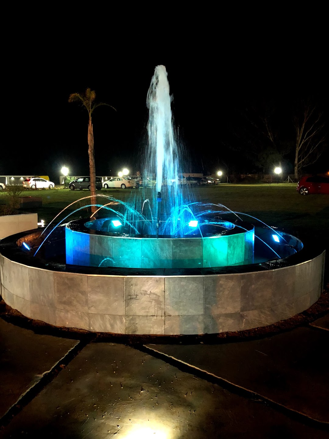 Illuminated fountain at night